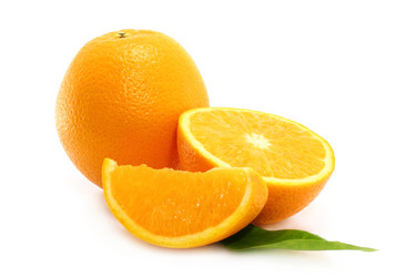 Similar image 1004904