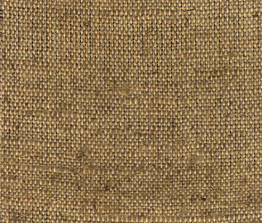 Similar image 1005207