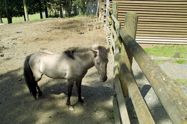 Similar image 1005446