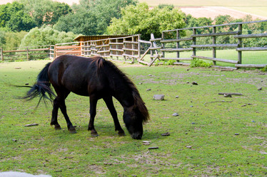 Similar image 1005447