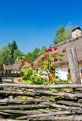 Similar image 1005455