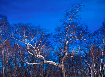 Similar image 1005469