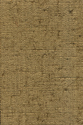 Similar image 1005512