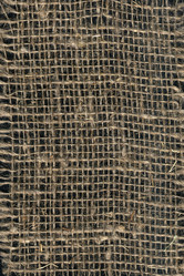 Similar image 1005513