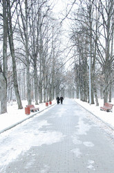 Similar image 1005662