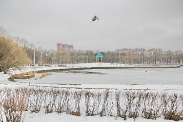 Similar image 1005663