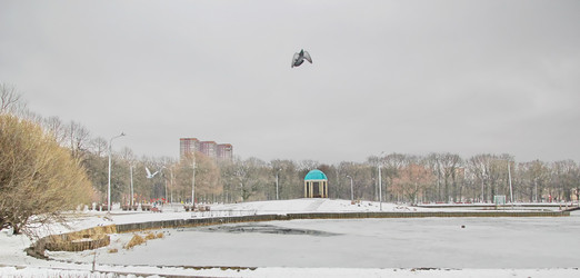 Similar image 1005665