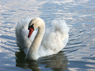 Similar image 1005702