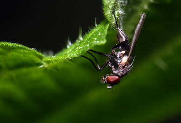 Similar image 1005744