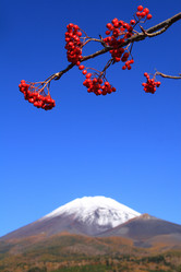 Similar image 1005786