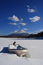 Similar image 1005800