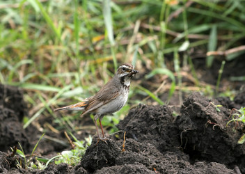 Similar image 931680