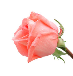 Similar image 931696