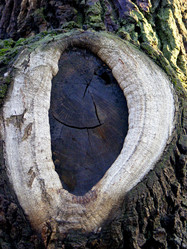 Similar image 931733