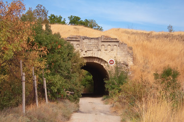 Similar image 931741