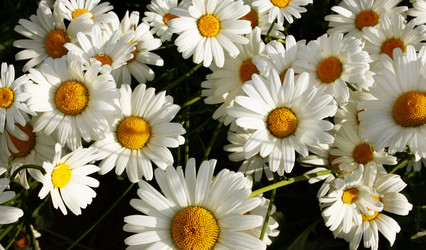 Similar image 931751