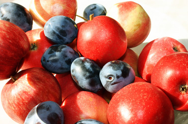 Similar image 931771