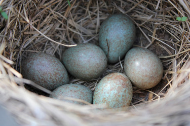 Similar image 931917