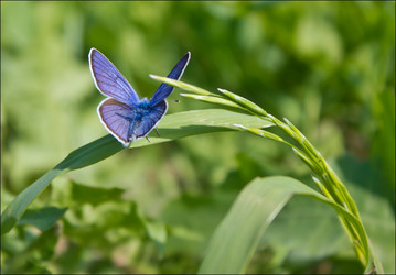 Similar image 931920