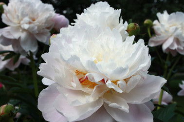 Similar image 932190