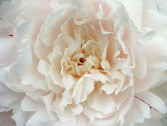 Similar image 932193