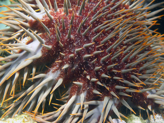 Similar image 932215