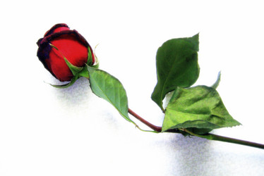 Similar image 932537