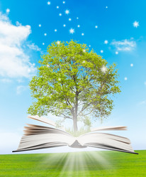 Similar image 932553