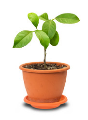 Similar image 933024