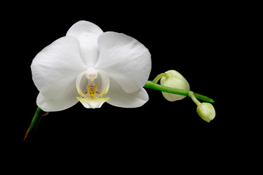 Similar image 933087