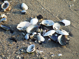 Similar image 933368