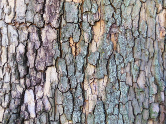 Similar image 933390