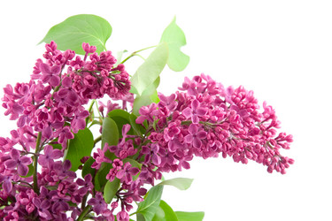 Similar image 933419