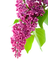 Similar image 933420