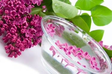 Similar image 933475