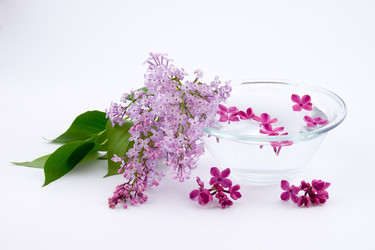 Similar image 933477