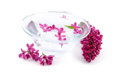 Similar image 933481