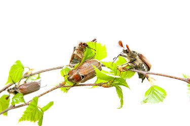 Similar image 933502