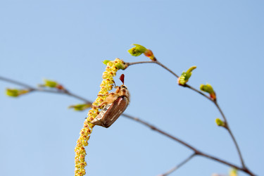 Similar image 933514