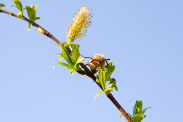 Similar image 933528