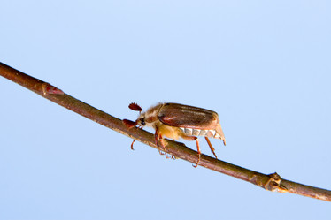 Similar image 933534