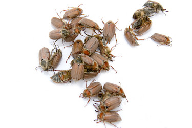 Similar image 933556