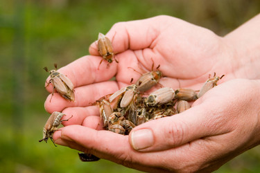 Similar image 933570