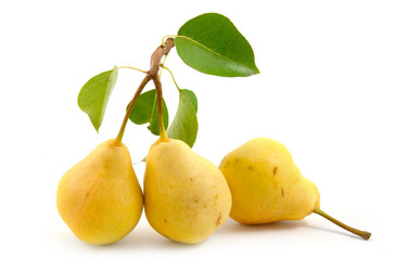 Similar image 933584