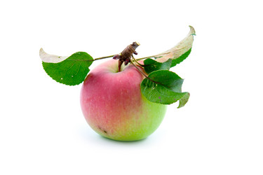 Similar image 933586