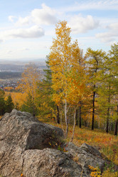 Similar image 933625