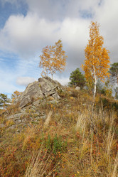 Similar image 933626