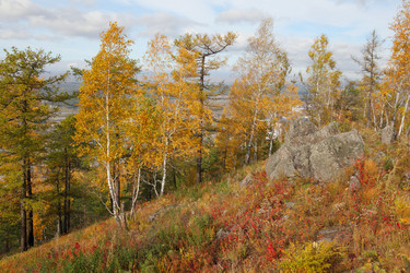 Similar image 933627