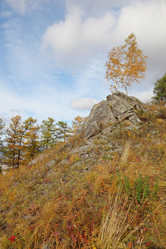 Similar image 933628