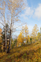 Similar image 933629